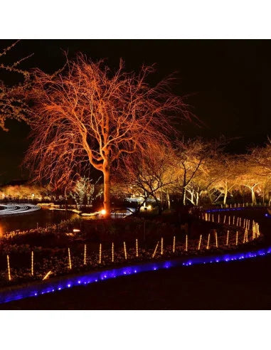 20 W LED Прожектор E-Series Черно Тяло Червен IP 65